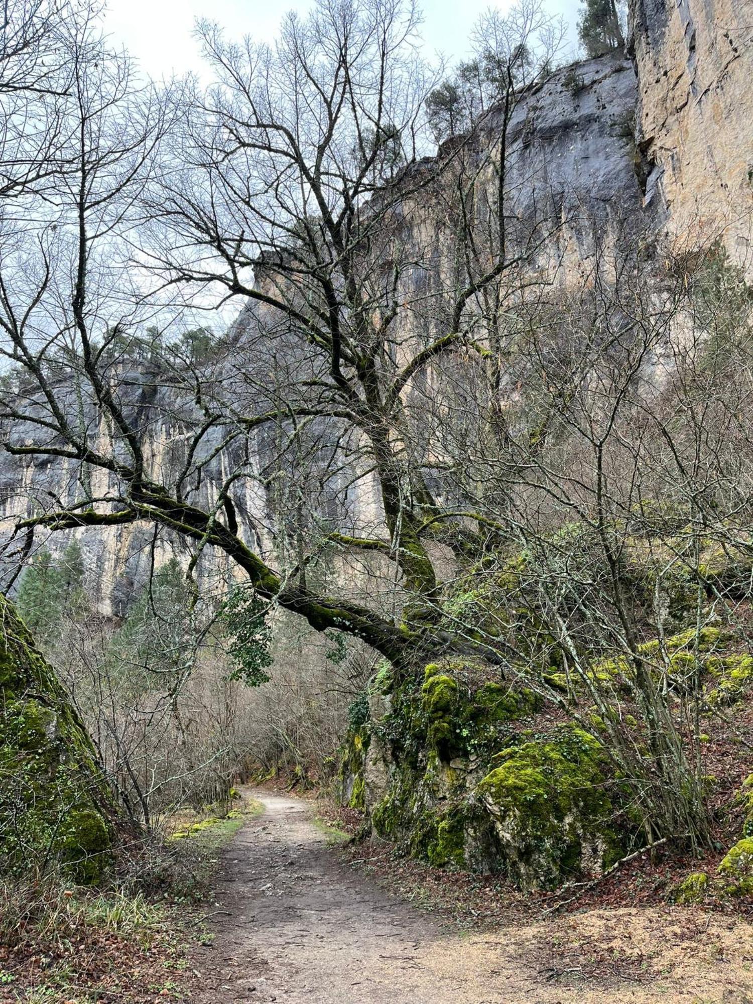 Hostal Rural Amador Puente de Vadillos Zewnętrze zdjęcie